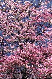 风格化科幻探索冒险游戏《巨大浪潮》现已登录Steam平台